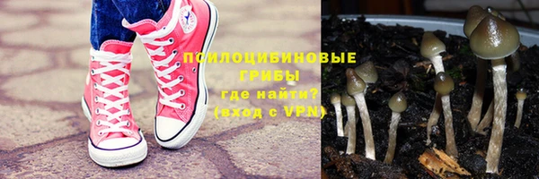 амф Кукмор