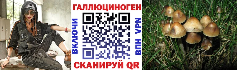 Псилоцибиновые грибы Magic Shrooms  дарнет шоп  Вихоревка 